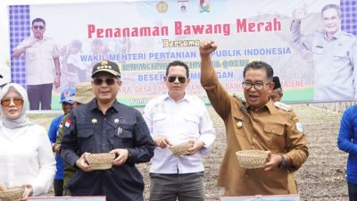 Wamentan Siap Dukung Peningkatan Produksi Petani Bawang di Sulbar