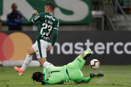Palmeiras vs San Lorenzo: Ujian Mentalitas dan Pertaruhan Tiket Hidup di Allianz Parque